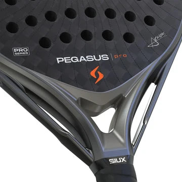 Pegasus Pro Storm Grey 2026